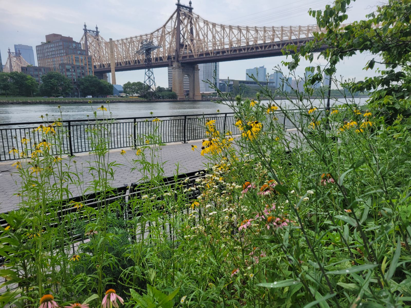 Green Park Gardeners NYC — Caring for Urban Green Spaces